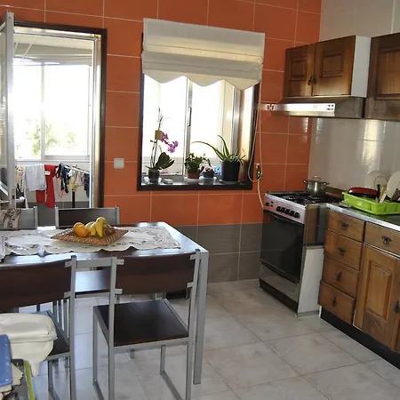 Apartment Apartamento Avenida Terraza - Aaa Aveiro